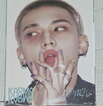 Stray Kids KARMA CD ACCORDION 현진