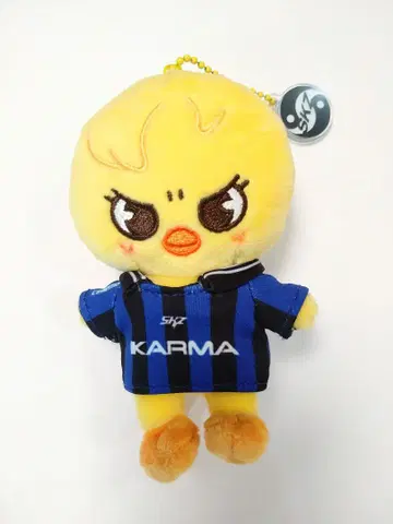 straykids karma skzoover 포가리