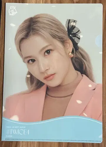 TWICE 클리어 파일 사나