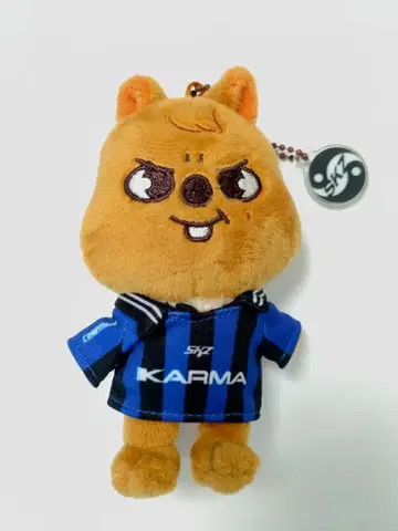 straykids karma skzoover 행크 보드카