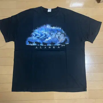 Hanes 헤인즈 알래스카 늑대 애니멀 T셔츠 구제 의류
