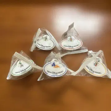 도쿄 디즈니 리조트 네임택 키체인 키링