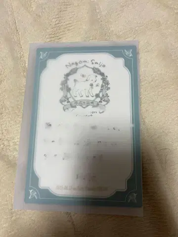 사이조 와카나 졸업 콘서트 입장 혜택
