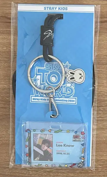 Stray Kids SKZ TOY WORLD ID 카드 세트 리노