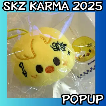 스키즈 필릭스 POPUP SKZOO 네임택 i513