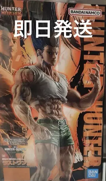제일복권 HUNTER x HUNTER 라스트 원상 곤 ~성장ver.~