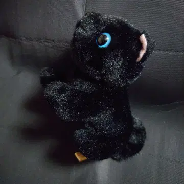 단종품 산애로우 Nacky Farm 나키팜 검은 고양이 봉제 인형