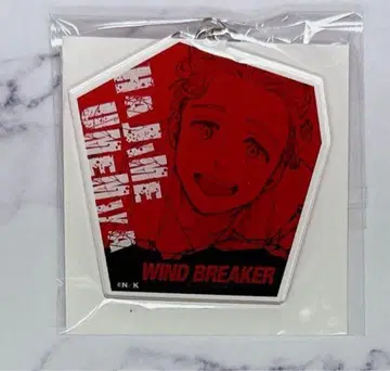 WIND BREAKER 윈브레 로프트 아크릴 키홀더 매실궁