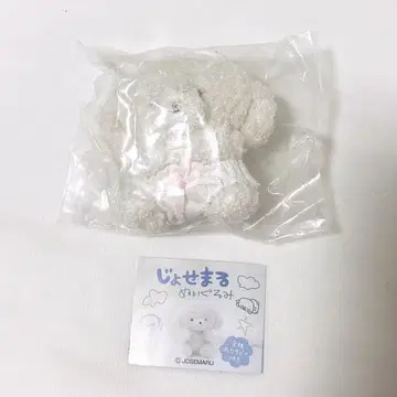 조세마루 봉제 인형 팬티