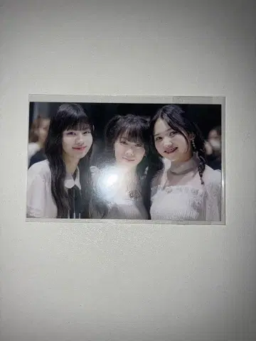 일프 여자 팬북 특정 카드