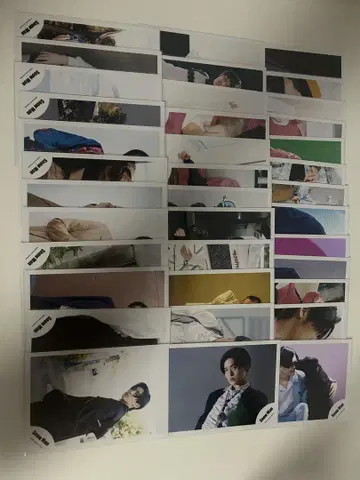 SnowMan 메구로 렌 공식 사진 (37장)