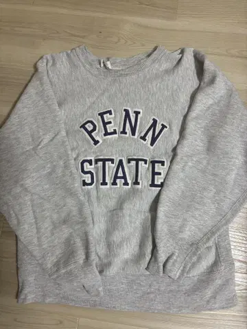 champion 80's REVERSE WEAVE