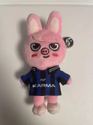 스트레이 키즈 KARMA SKZOO 키링 봉제 인형 창빈