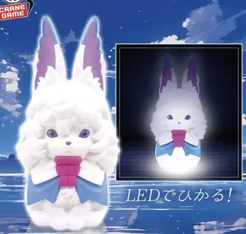 Fate/Grand Order 폴룸 라이트
