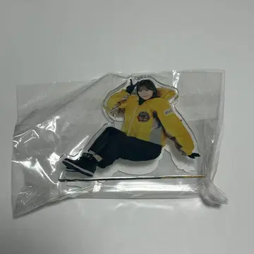 투표권 클립 5호정