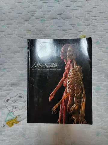 인체의 신비전 MYSTERIES OF THE HUMAN BODY