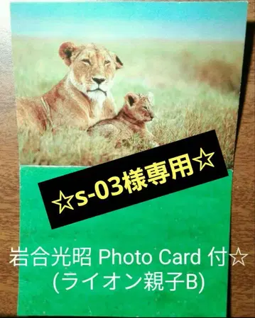 반다이 세계 자연 동물 피규어 사자 모자 페어 set