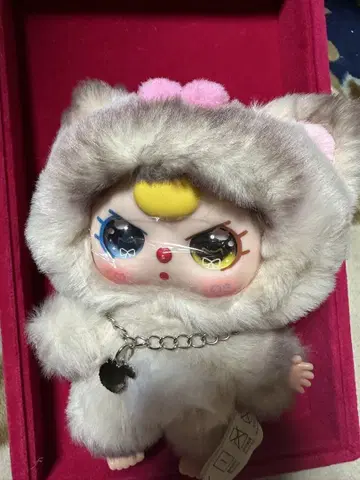 Babythree 베이비쓰리 고양이 개