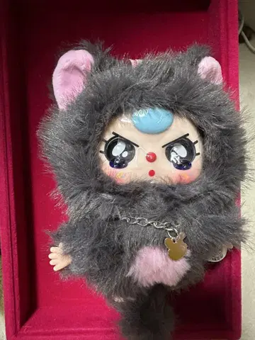 Babythree 베이비쓰리 개 고양이 시리즈