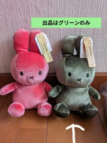 [ 레어 오란 한정판 택 포함 새상품 ] 미피 벨벳 봉제 인형 그린