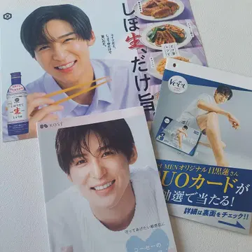 메구로 렌 스노우 KOSE VeetMEN 플라이어 기코만