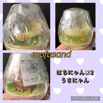 모프 샌드 캡슐리움 우사냥 x 1 하치냥 x 2