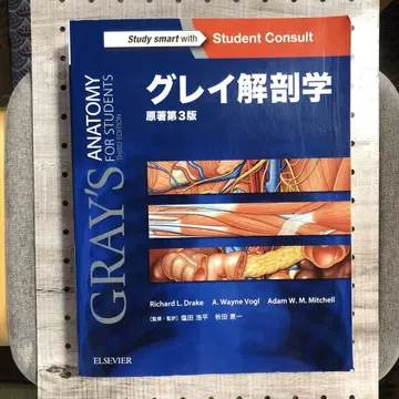 그레이 해부학 제3판