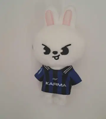 스키즈 리비트 leebit 키링 skzoo KARMA