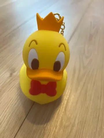 디즈니랜드 팔팔루자 도날드 백참