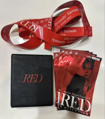 새상품급 야마다 료스케 RED 비주얼 카드 20종 컴플리트 카드 케이스
