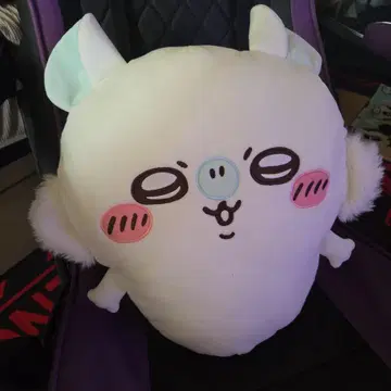 치이카와 모몽가