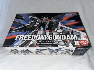 HG 1/144 ZGMF-X10A 프리덤 건담