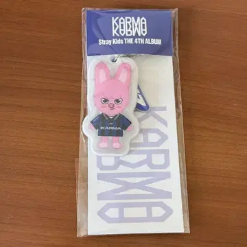 돼끼 키링 스키즈 창빈