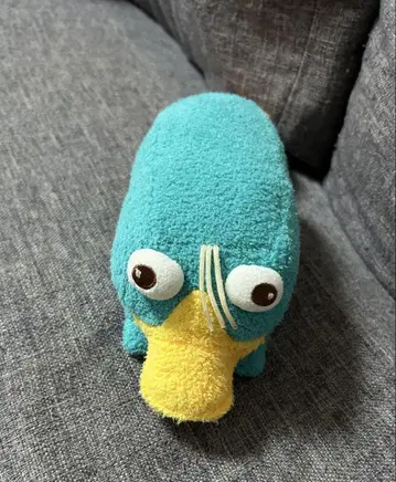 오리너구리 베리 봉제 인형