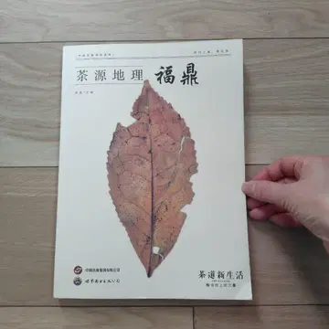 차원지리 푸딩 중국차 백차
