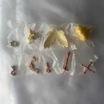 카드캡터 사쿠라 토르소 마네킹