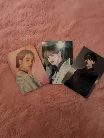 JO1 트레이딩 카드 3장 세트 오히라 쇼세이
