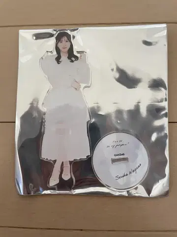 AKB48 나가노 세리카 oh my pumpkin! 아크릴 스탠드 한정품