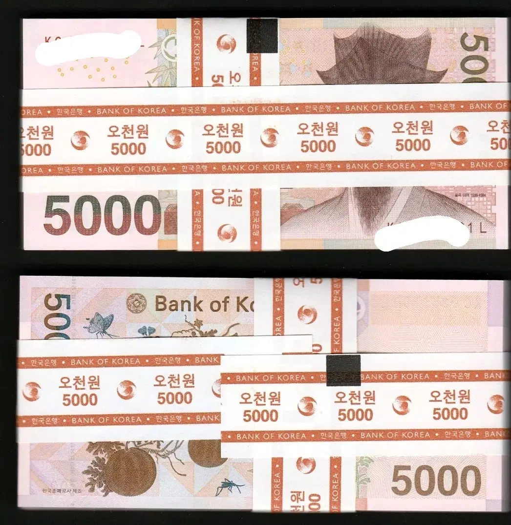 3차 천원 신권 미사용 50장 반다발 (번호 랜덤) | 브랜드 중고거래 플랫폼, 번개장터