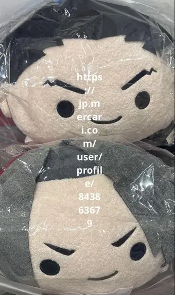 카프코롱 BIG 봉제 인형 미츠루기 레이지 나루호도 류이치 세트