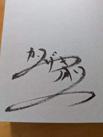 가격 인하 칸자키 이오리 사인 도서 그 여름이 포화한다