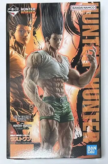 제일복권 헌터헌터 HUNTER x HUNTER 라스트 원상 곤~성장