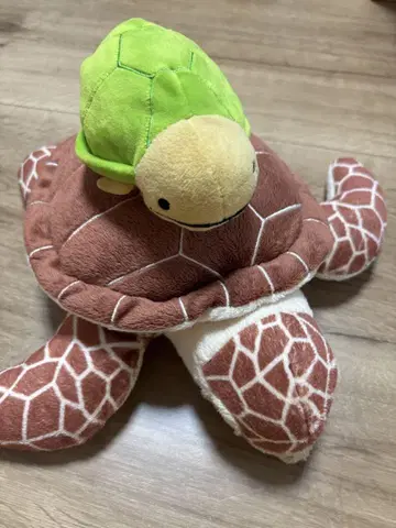 거북이 봉제 인형 수족관 묶음 판매