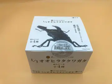 애니마리에 컬렉션 1/1 오오히라 사슴벌레