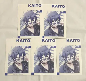 프로세카 혜택 엽서 KAITO