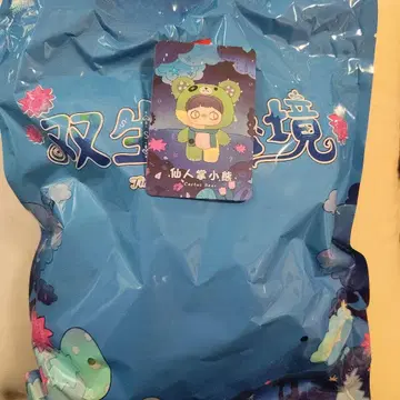 maymei V4 쌍둥이 비경 시리즈 메이메이 곰 cactus bear