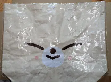 스키즈 에코파 아이엔 폭시니 쇼핑백