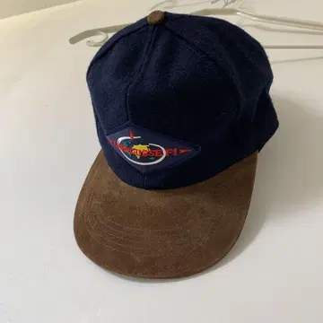 LARROUSSE F1 울 스웨이드 가죽 캡