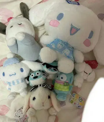 시나모롤 포차코 한교동 블루햄햄 봉제 인형 묶음 판매