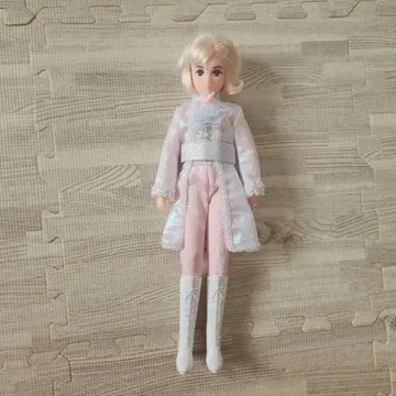 리카짱 인형 왕자님 하루토군 웨딩